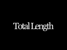 paste Total Length