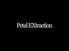 Petal Extraction